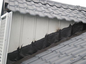 阜陽森顥建材 專業(yè)供應(yīng)優(yōu)質(zhì)樹脂瓦，打造耐用建筑材料